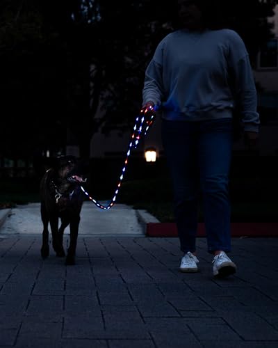 Luminoid LED Dog Leash | 6 ft | USB Rechargeable | 12 Multi-Color Animated Effects | Ultra-Bright LEDs Light-up Leash Keeps You & Dog Safe - by Glowy Zoey
