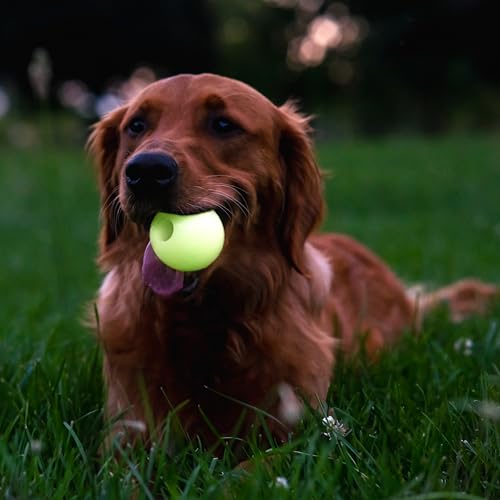 Chew King by Mammoth Glowing Fetch Ball, Dog Ball Toys, 2.5" Combo - color: F) 3-Pack (2.5" Balls)