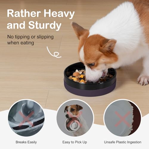 Sted Ceramic Slow Feeder Dog Bowls with Silicone Base, Slow Feeding Dog Bowl Small Medium Breed, Dogs Foods Bowls for Fast Eaters, Puzzle Dogs Food Bowl, Maze Black - color: Black, size: Medium-8 inches