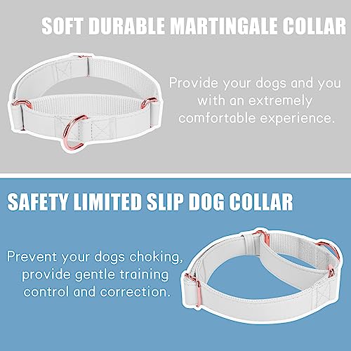 Soft Leather Martingale Dog Collar - Adjustable Rose Gold Limited Slip Collars [Easy to Clean], Stylish Durable Heavy Duty Nylon No Pull Training Collar for Small Medium Large Dogs XS White - color: White, size: XS (Neck 8"-11", Width 3/5")
