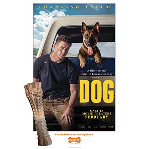 Nylabone Power Chew Camo Dog Toy - Dog Toys for Aggressive Chewers - Indestructible Dog Toys for Aggressive Chewers Large Breed - For Extra Large Dogs - Chicken Flavor X-Large/Souper - 50+ lbs.