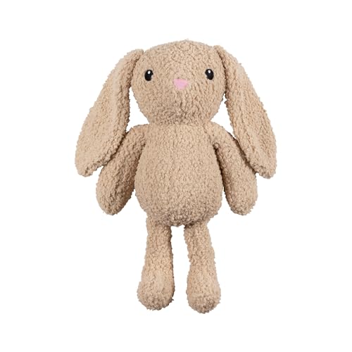 Fringe Studio Large Plush Dog Toy, Hoppy to See You, 19" Tall x 13" Wide, Pet Shop Collection (728034) - color: Hoppy To See You