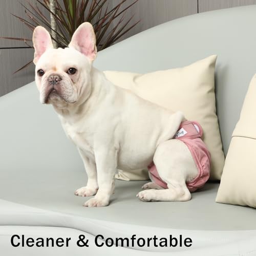 JoyDaog Female Dog Diapers for Small Dogs,4 Pack Reusable Washable Premium Puppy Diapers for Heat,Incontinence,Period Doggy Nappies,S - size: Small (Pack of 4)