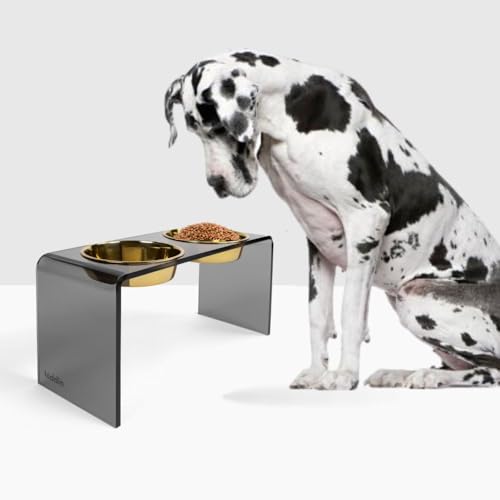 Hiddin Double Elevated Dog Bowl Stand for Medium or Large Dogs, All Breeds, Smoke Grey Acrylic 12 Inch Raised Dog Bowl Stand with Two Gold Bowls for Food and Water - 6.5 Cups Each Dish
