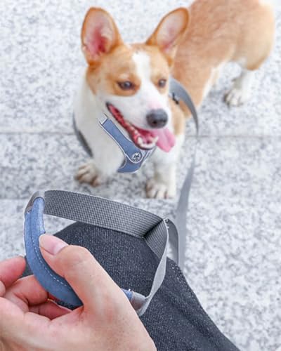 Puppy Harness and Leash Set,No Pull Adjustable Step in Soft Mesh Vest Harness,Easy Walk Reflective Pet Harness with Padded Handle for Walking Training Small Medium Large Dogs and Cats (Blue, XS) - color: Blue, size: XS