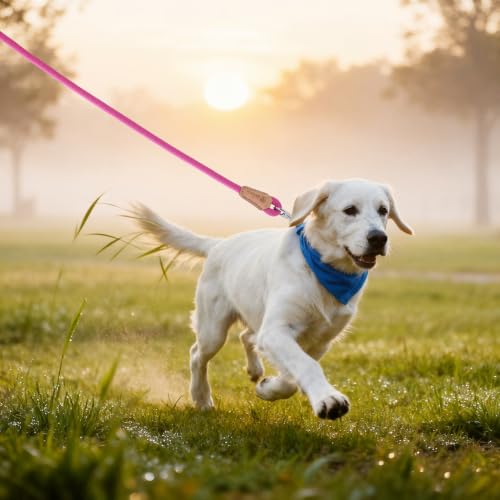 Mile High Life Dog Leash, Rope Leash with Genuine Leather Connection and Heavy Duty Metal Clasp, Great for Small Medium Large Dogs(Hot Pink,48 Inch) - color: Rope Handle-Hot Pink, size: 48 Inch-1/2"
