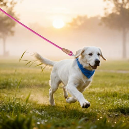 Mile High Life Dog Leash, Rope Leash with Genuine Leather Connection and Heavy Duty Metal Clasp, Great for Small Medium Large Dogs(Hot Pink,48 Inch) - color: Rope Handle-Hot Pink, size: 48 Inch-1/2"