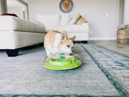 Outward Hound by Nina Ottosson Wobble Bowl Slow Feeder Dog Puzzle, Level 1 Beginner, 11.6 inches x 3.5 inches, Multicolored - color: Wobble Bowl (Green)