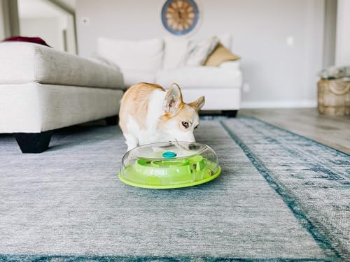 Outward Hound by Nina Ottosson Wobble Bowl Slow Feeder Dog Puzzle, Level 1 Beginner, 11.6 inches x 3.5 inches, Multicolored - color: Wobble Bowl (Green)