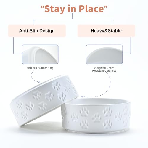 SPUNKYJUNKY Ceramic Dog and Cat Bowls 2 Pack, 5.1'' Dog and Cat Food Water Double Feeding Bowls Non-Slip for Cats and Puppy Small Sized Breed Dogs Microwave Dishwasher Safe - 13.5 OZ, 2pcs, Paw White - color: Paw White - Only Bowls*2, size: 5.1 in - 1.7 c