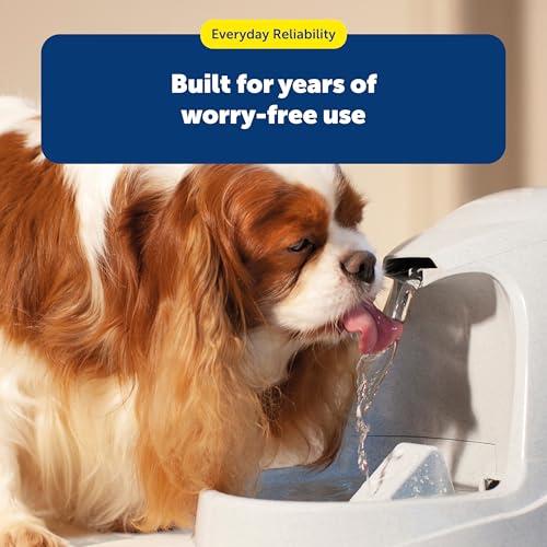 PetSafe Drinkwell Replacement Carbon Filter, Dog and Cat Water Fountain Filters, pack of 3 - size: 3 Filters