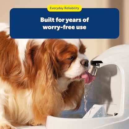 PetSafe Drinkwell Replacement Carbon Filter, Dog and Cat Water Fountain Filters, pack of 3 - size: 3 Filters
