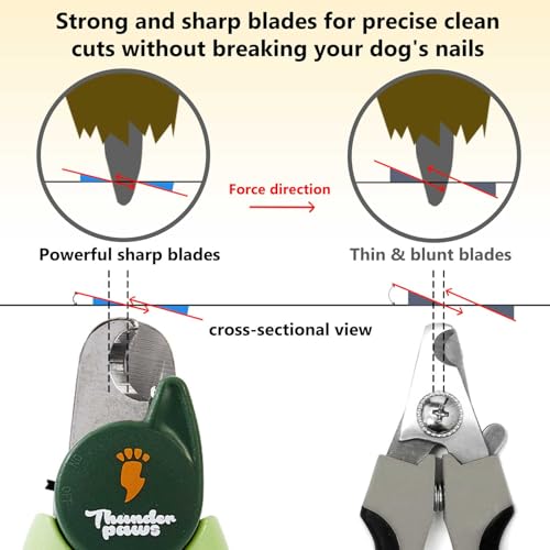 LED Dog Nail Clippers with Light Illumination, Trimmers with Protective Guard, Safety Lock and Nail File - Suitable for Large and Small Dogs & Cats (Green) - color: Green, size: Medium-Large (LED)