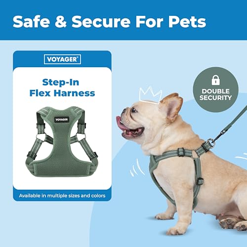 Best Pet Supplies Voyager Adjustable Step-in Flex Breathable Mesh Dog Harness for Small Medium Large Dogs (Moss Green), L - color: Harness (Moss Green), size: L