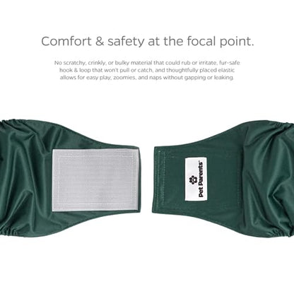 Pet Parents® Washable Belly Bands for Male Dogs (3pack) + Extendrs® of Durable Dog Diapers Male, Premium Male Dog Diapers & Dog Wraps (Small, Spruce) - color: Spruce, size: Small (13-16")
