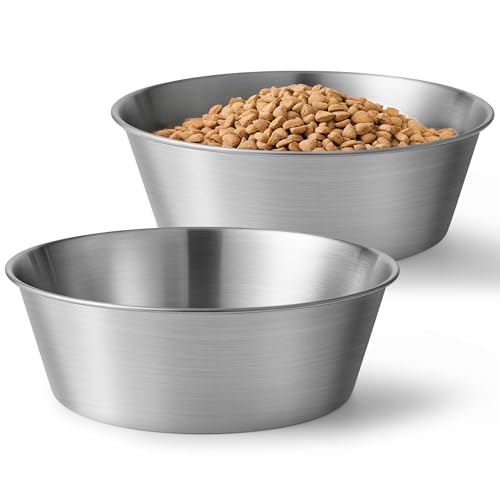 Heavy-Duty Stainless Steel Dog Bowl - Food Grade 304, Rustproof & BPA Free - Easy to Clean, Dishwasher Safe -Medium (48oz, 6 Cups) for Dogs 40-80lbs - color: Basic Bowl, size: 6 Cups