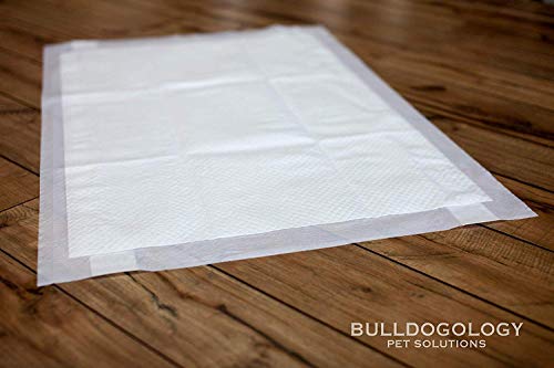 Bulldogology Pee Pads for Dogs XL with Adhesive Sticky Tape (24x35) Dog Puppy Pads Extra Large, Disposable Puppy Pads, Dog Training Wee Pads 6 Layers with Bullsorbent Polymer Tech (40-Count, White) - size: 40-Count (24x35)