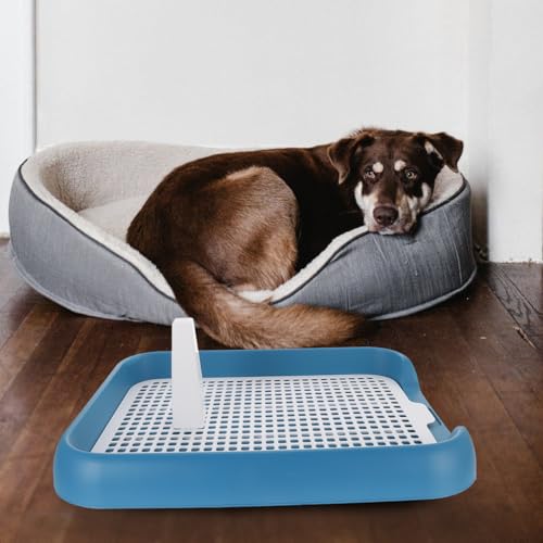 ULTECHNOVO 17.7" Mesh Dog Toilet Indoor Puppy Potty Tray Anti-Slip Pet Pee Pad Holder - color: Blue