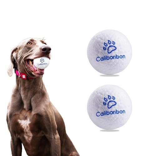 Durable Dog Herding Balls – ETPU Interactive Bouncy Fetch Balls for Small & Medium Dogs – Lightweight, High-Rebound Dog Toys for Puppies - color: 2 Balls