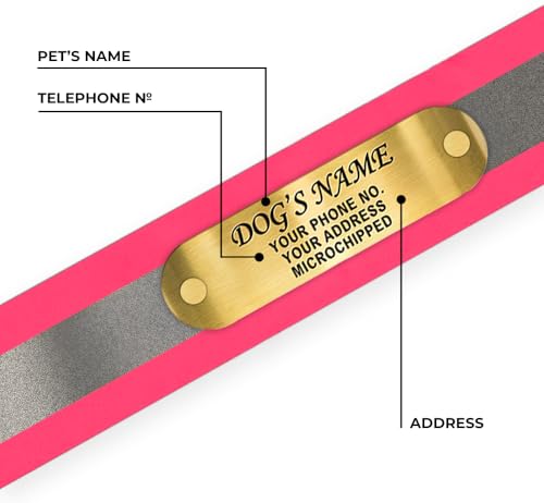 Regal Dog Products Large Pink Reflective Dog Collar with Custom Engraved Name Plate and Heavy Duty Center Ring | Waterproof Biothane Personalized Dog Collars - Other Sizes for Small & Medium Dogs - color: Pink, size: Large