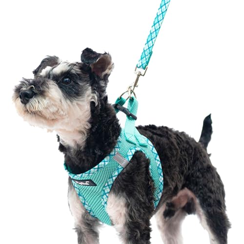 PUPTECK Dog Harness and Leash Set for Small Medium Dogs No Pull Step-in Soft Mesh Puppy Cat Vest Harnesses Reflective at Night, Green XS - color: #1 Green(Basic Mesh), size: XS(CHEST 13"-14.5", 3-9 lbs)