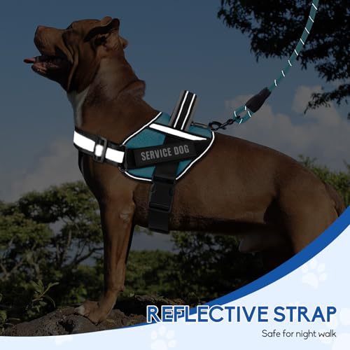 Service Dog Vest Harness and Leash Set, Animire in Training Dog Harness with 10 Dog Patches, Reflective Dog Leash with Soft Padded Handle for Small, Medium, Large, and Extra-Large Dogs (Light Blue,S) - color: Light Blue, size: S