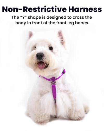 Non-Restrictive No Pull Dog Harness, Neck Buckle Design, Back Handler, Easy Walk Freedom Harness Keep Balance, Sewn-in Instructions Labels, for Large Dogs Chest(25-35 inches), Purple - color: Purple, size: L