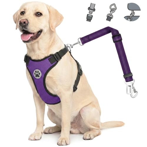 Lukovee Dog Car Harness Seat Belt, Adjustable Mesh Breathable Vest with Elastic Bungee Tether, Soft Padded 2-in-1 Safety Car Harness Seatbelt for Small Medium Large Dogs (Purple,XXS) - color: Purple, size: XX-Small