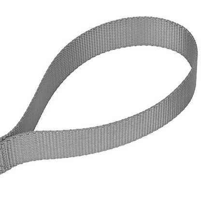 Country Brook Petz - Vibrant 17 Color Selection - Heavyduty Doublehandle Nylon Leash (6 Foot, 3/4 Inch Wide, Silver) - color: Silver