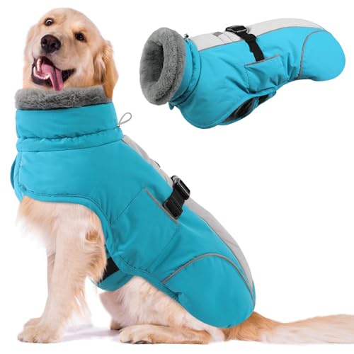 Queenmore Dog Cold Weather Coats, Fleece Collar Dog Apparel for Cold Weather, Pet Snowsuit, Cozy Winter Jackets for Large Breeds with Quick Release, Blue, XXL - color: Blue, size: XX-Large