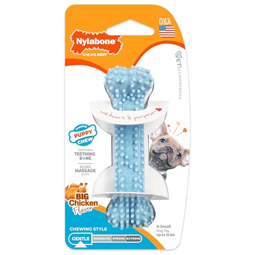 Nylabone Puppy Chew Blue Textured Teething Bone - Chewing Toys for Puppies - Puppy Supplies - Chicken Flavor, X-Small Dogs - Up to 15 Ibs, 1 Count - color: Blue, size: X-Small