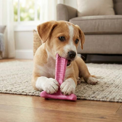 SPOT Bam-Bones Puppy T-Bone Dog Chew Toys, Chicken Flavor, 4 Inch, 2 Pack, Bamboo Fiber & Flexible Rubber, Easy Grip Design for Gentle Chewers, Puppies & Small Dogs Up to 15 lbs