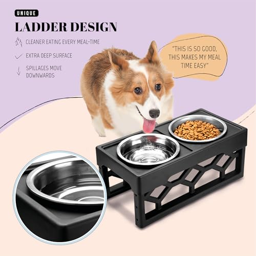 AVERYDAY Small Dog Bowls Elevated, 4 Height Adjustable Raised Dog Bowl Stand with 2 Stainless Steel Food and Water Bowls Set, Tall Dogs Feeding Station with Anti-Slip Base for Small Medium Breeds Dogs - color: Black stand + 2 food bowls, size: Small