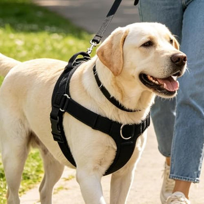 No Pull Dog Harness - Escape Proof Adjustable Vest, Breathable Mesh Anti-Choke Design with Reflective Straps, Training Harness for Small Medium Large Dogs for Daily Walking Camping Traveling - size: S