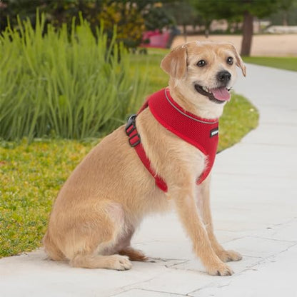 Best Pet Supplies Voyager Aerolite Over the Head Dog Harness, No Pull Breathable Air Mesh Vest, Quick Dry with Reflective Stitching, Adjustable Escape Resistant Harness - Red, X-Small - color: Red, size: XS