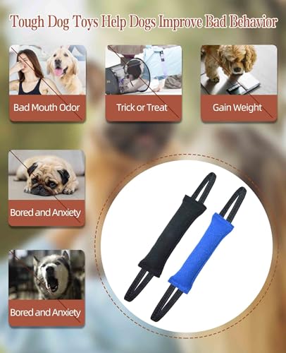 Clysoru Dog Tug Toy Double Pack Tough Jute Bite Pillow Training Equipment Puppy to Large Dogs Interactive - color: Blue Black