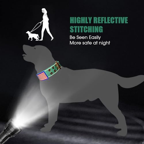 Heavy Duty Tactical Dog Collar with Neoprene Padded and Metal Buckle, Reflective Nylon for Medium to Large Dogs(Teal, Medium) - color: Teal, size: Medium (Pack of 1)