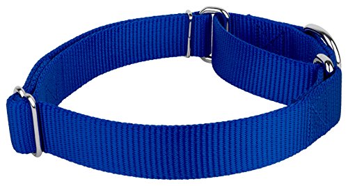 Country Brook Petz - Royal Blue Martingale Heavyduty Nylon Dog Collar and Double Handle Leash (1 Inch, Large) - color: Royal Blue, size: Large (Pack of 1)