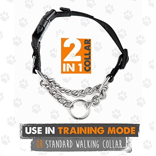 Mighty Paw Martingale Collar with Buckle | Training Dog Collar, Limited Cinch Chain Pet Gear for No Pull Dog Walking. Martingale Dog Collars for Large Dogs, Medium Breeds and Small Pets
