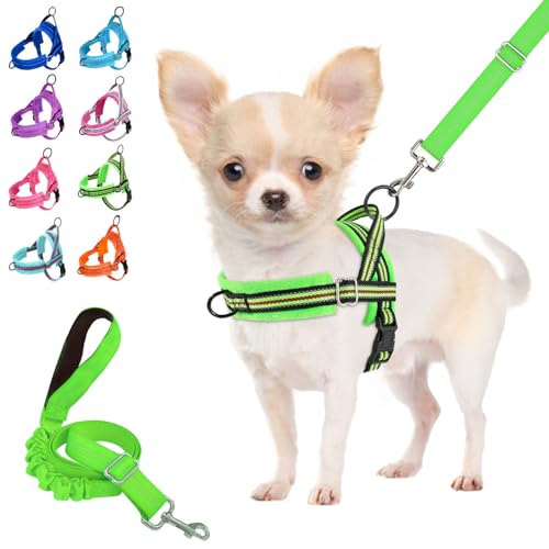 Lukovee No Pull Dog Harness and Leash Set, Soft Padded Small Dog Harness, Neck & Chest Adjustable Reflective Vest Puppy Harness with 4ft Lightweight Anti-Twist Dog Leash for Small Dogs (S, Green) - color: Green - with Stripe, size: S ( Chest 17.5'' ~ 22''