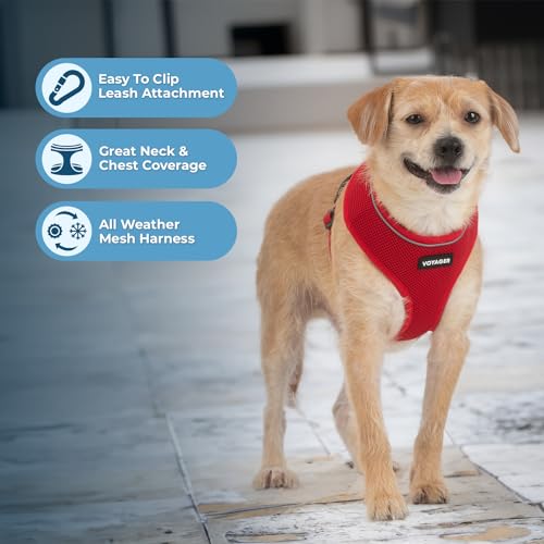 Best Pet Supplies Voyager Aerolite Over the Head Dog Harness, No Pull Breathable Air Mesh Vest, Quick Dry with Reflective Stitching, Adjustable Escape Resistant Harness - Red, X-Small - color: Red, size: XS
