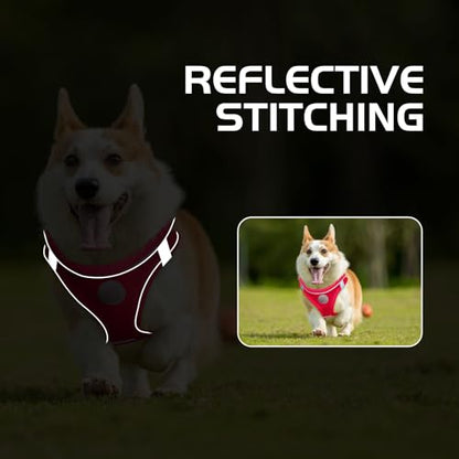 Soft Mesh Dog Harness and Leash Set, No Pull Puppy Harness and Leash Set, Reflective Step in Harness for Small Medium Dogs, Easy Walk Escape Proof Vest Harnesses (Rose Red, XXS) - color: Rose Red, size: XXS