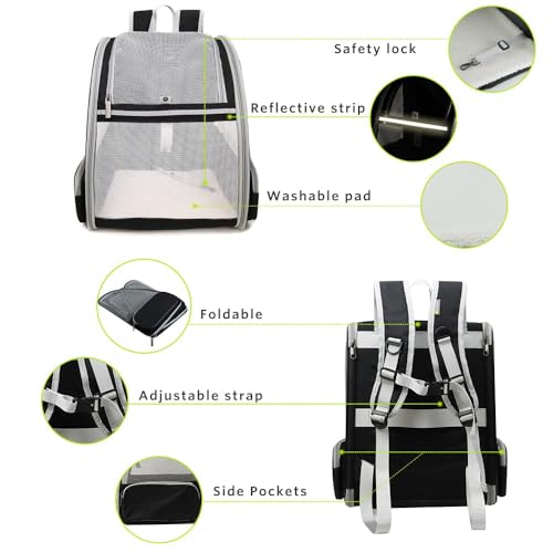 Pet Aura Portable Outdoor Pet Carrier Backpack. with Dual Ventilation System & See Through Cabin. Travel Bag for Small Dog/cat (Gray).