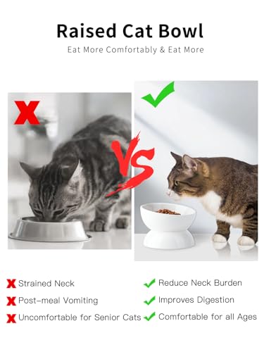 ABRUTY Cat Water Bowl, 16 OZ Ceramic Elevated Cat Bowls, 15° Tilted and Raised Pet Food Dish, Anti Vomiting Protect Pets' Spines and Whisker Fatigue - color: White, size: 2 Pack