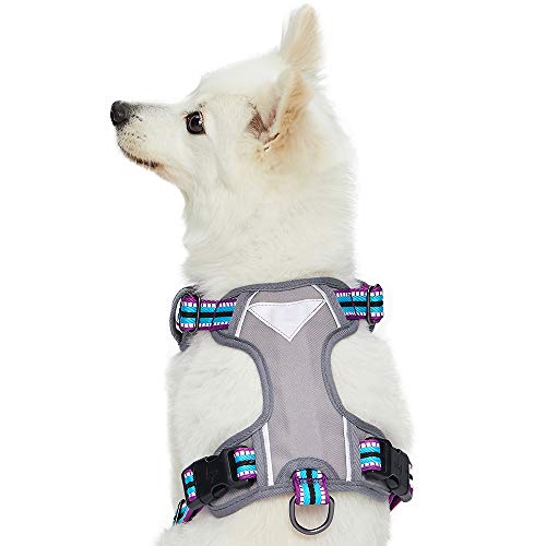 Blueberry Pet Dog Harness Soft & Comfy 3M Reflective Dog Harness Medium Sized Dog - color: Violet and Celeste, size: Small