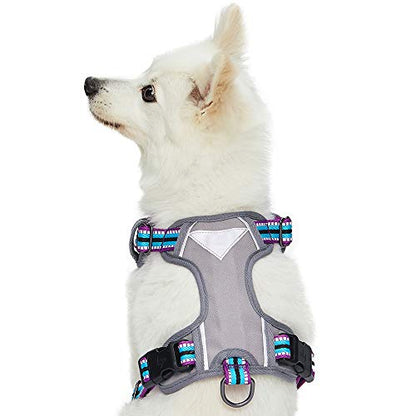 Blueberry Pet Dog Harness Soft & Comfy 3M Reflective Dog Harness Medium Sized Dog - color: Violet and Celeste, size: Small