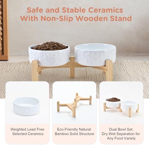SPUNKYJUNKY Elevated Dog Bowls Ceramic, 5.1'' Dogs and Cat Food Water Bowls Raised with Non-Slip Bamboo Stand for Puppy Small Sized Breed Microwave Dishwasher Safe - 13.5 OZ,Skull White - color: White - Skull, size: 5.1 in - 1.7 cups
