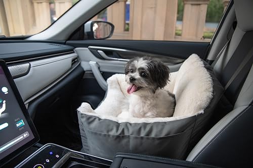 Best Pet Supplies Elevated Dog Car Seat for Small Dogs, Booster Seat with Safety Tether & Storage, Washable Travel Pet Seat for Front or Back Seat, Up to 25 lbs - Gray - 21 x 20 x 14 - color: Booster (Gray)
