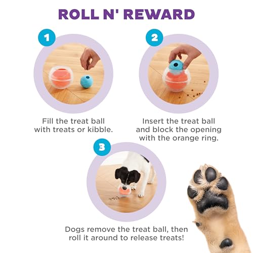 Outward Hound Nina Ottosson Topsy Treat Ball Dog Puzzle Interactive Treat Puzzle Dog Enrichment Dog Toy, Level 1 Beginner, Orange - color: Dog Rumble (Orange)