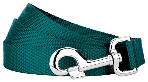 Country Brook Petz - Vibrant 17 Color Selection - Heavyduty Doublehandle Nylon Leash (6 Foot, 3/4 Inch Wide, Teal) - color: Teal